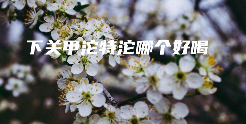 下关甲沱特沱哪个好喝插图