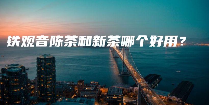 铁观音陈茶和新茶哪个好用？插图