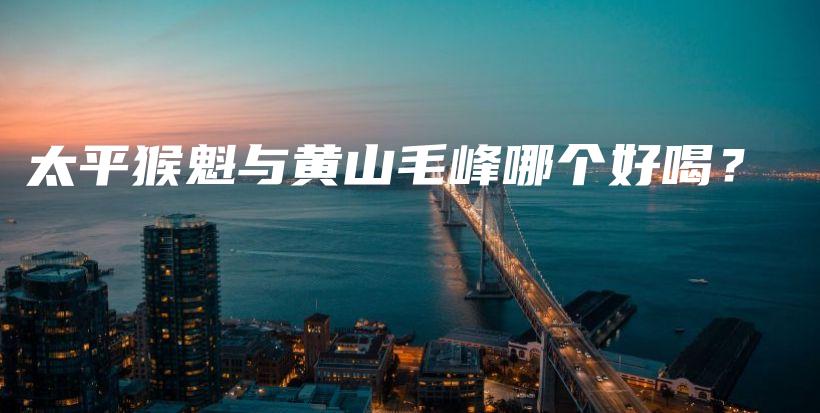 太平猴魁与黄山毛峰哪个好喝？插图