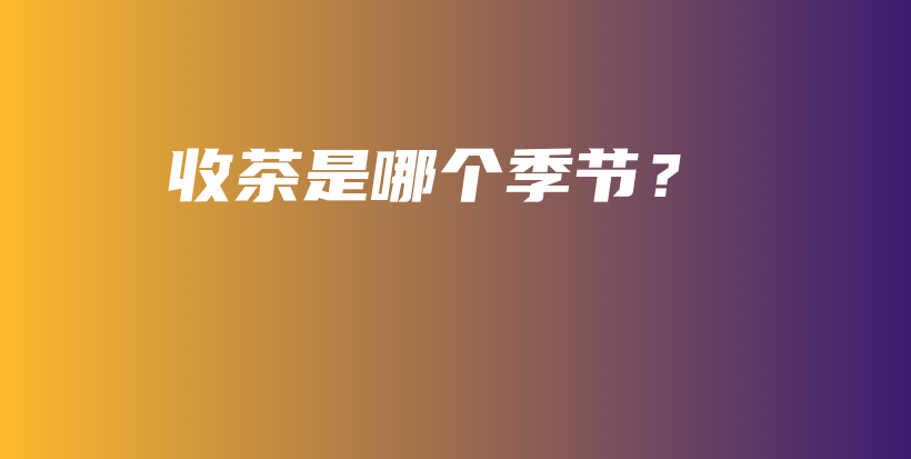 收茶是哪个季节？插图