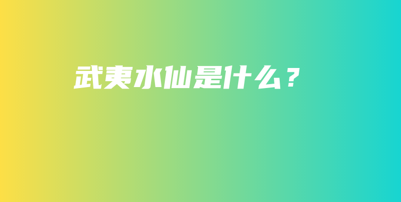武夷水仙是什么？插图