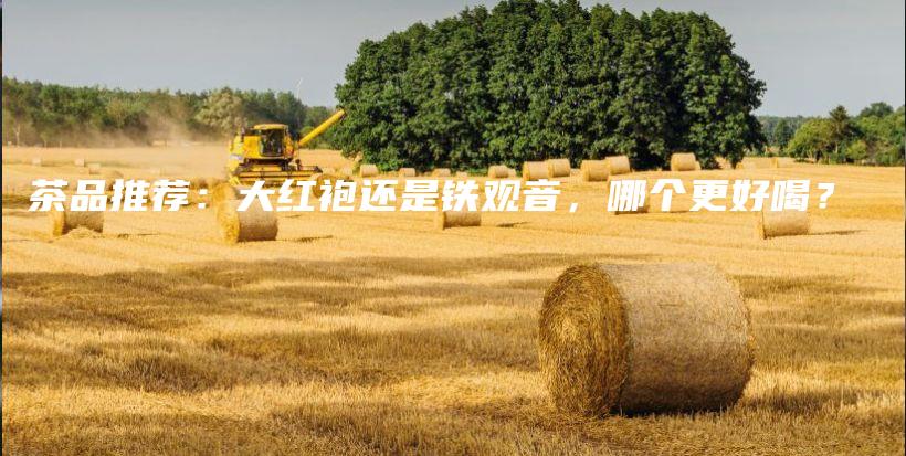 茶品推荐：大红袍还是铁观音，哪个更好喝？插图