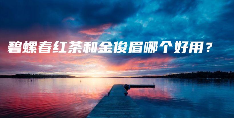 碧螺春红茶和金俊眉哪个好用？插图