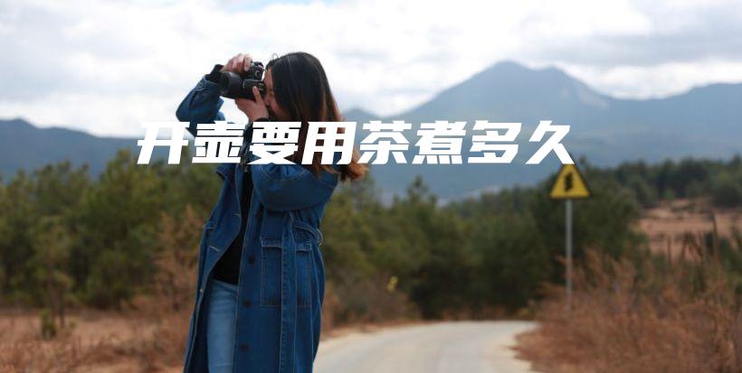 开壶要用茶煮多久插图