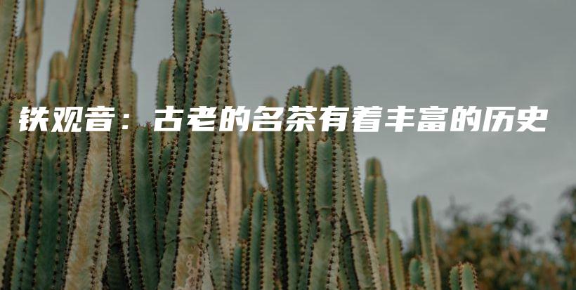 铁观音：古老的名茶有着丰富的历史插图