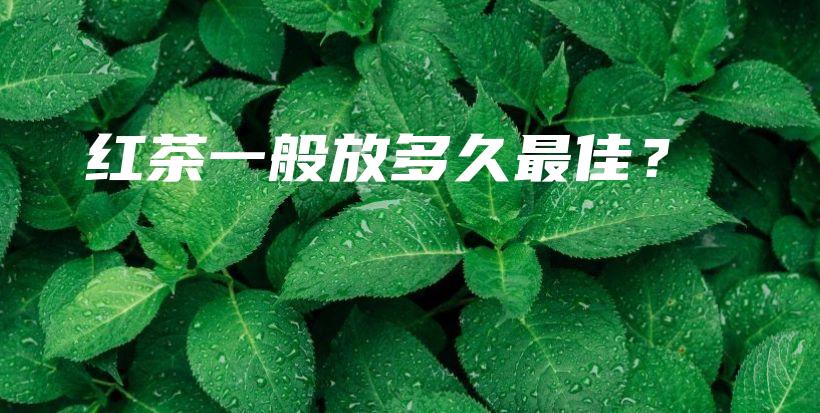 红茶一般放多久最佳？插图
