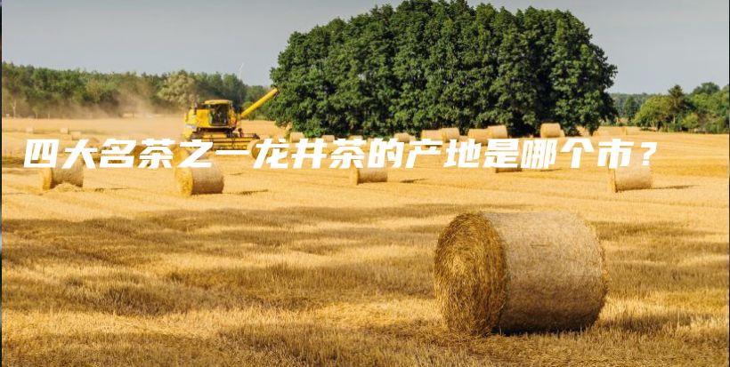 四大名茶之一龙井茶的产地是哪个市?插图 四大名茶之一龙井茶的产地是哪个市?插图