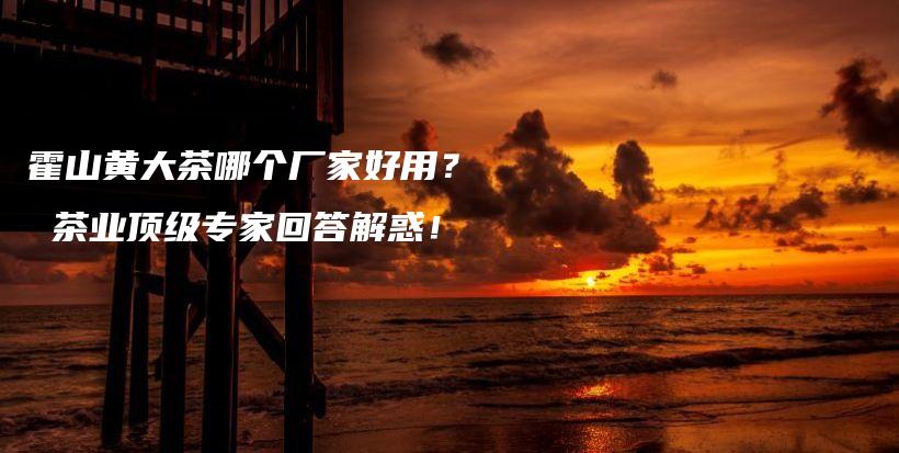 霍山黄大茶哪个厂家好用？ 茶业顶级专家回答解惑！插图