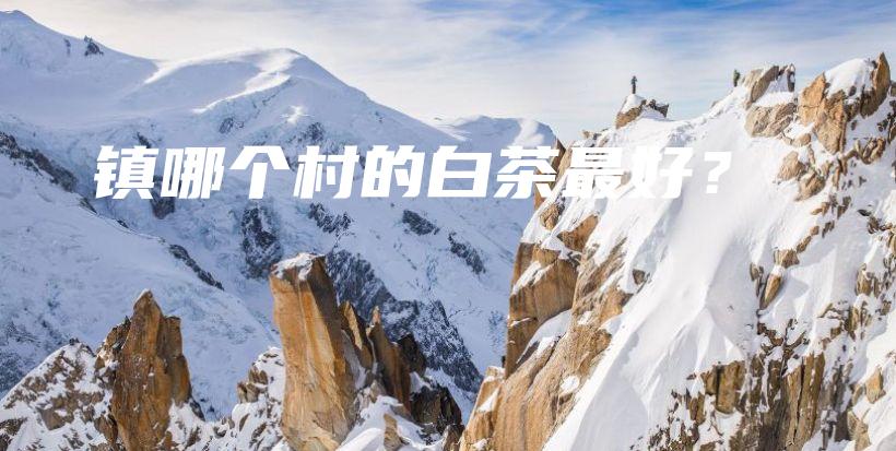 镇哪个村的白茶最好？插图