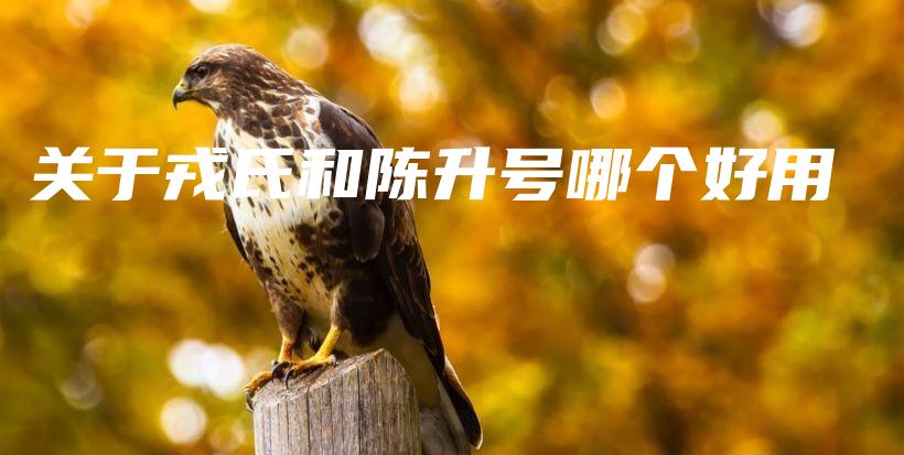 关于戎氏和陈升号哪个好用插图 关于戎氏和陈升号哪个好用插图