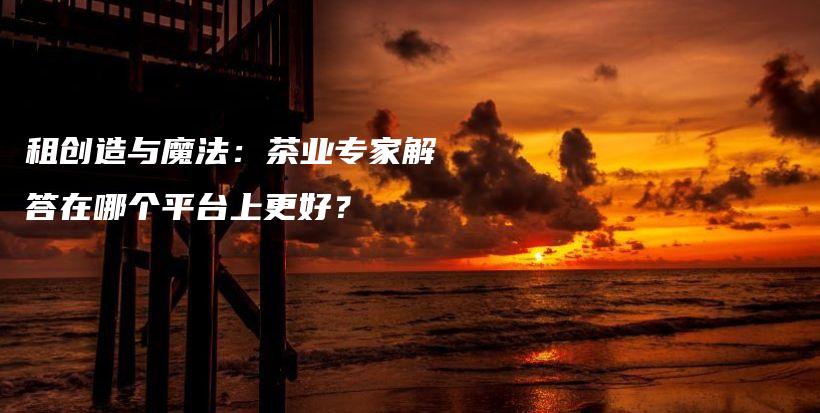 租创造与魔法：茶业专家解答在哪个平台上更好？插图