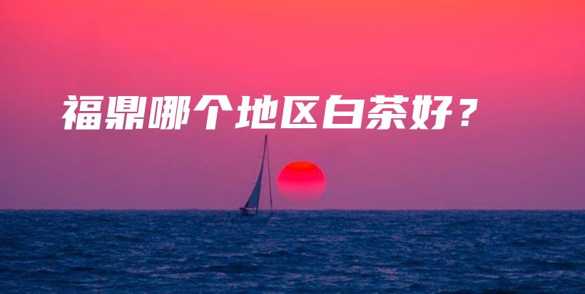 福鼎哪个地区白茶好？插图