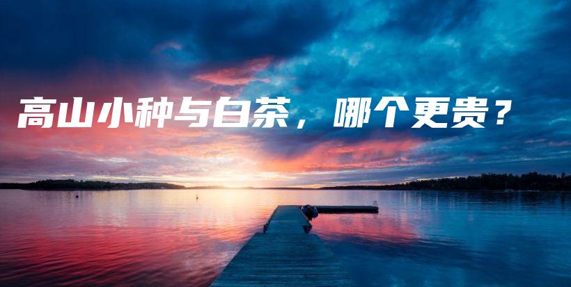 高山小种与白茶，哪个更贵？插图