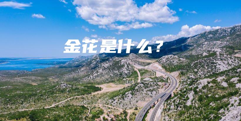 金花是什么？插图