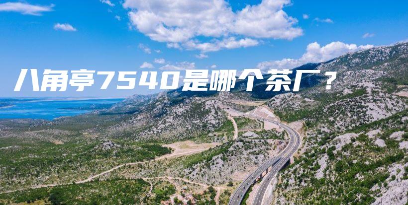 八角亭7540是哪个茶厂？插图
