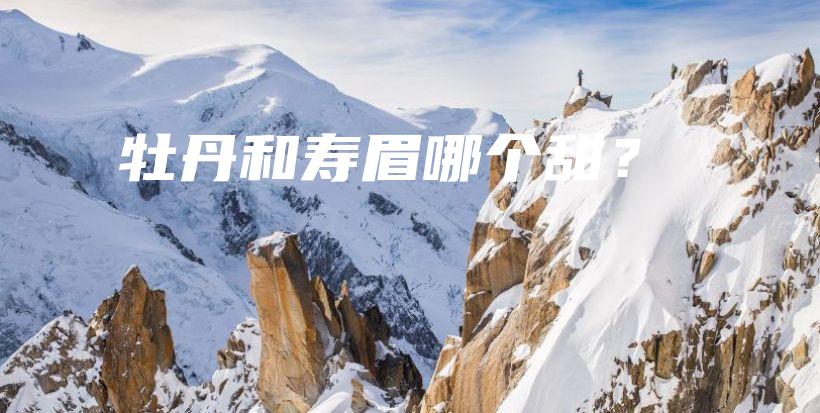 牡丹和寿眉哪个甜？插图