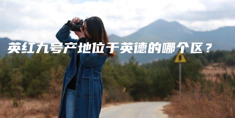 英红九号产地位于英德的哪个区？插图