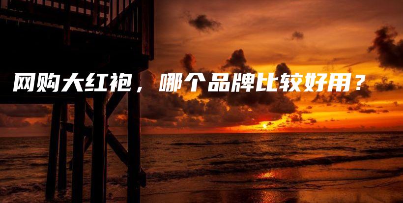 网购大红袍，哪个品牌比较好用？插图