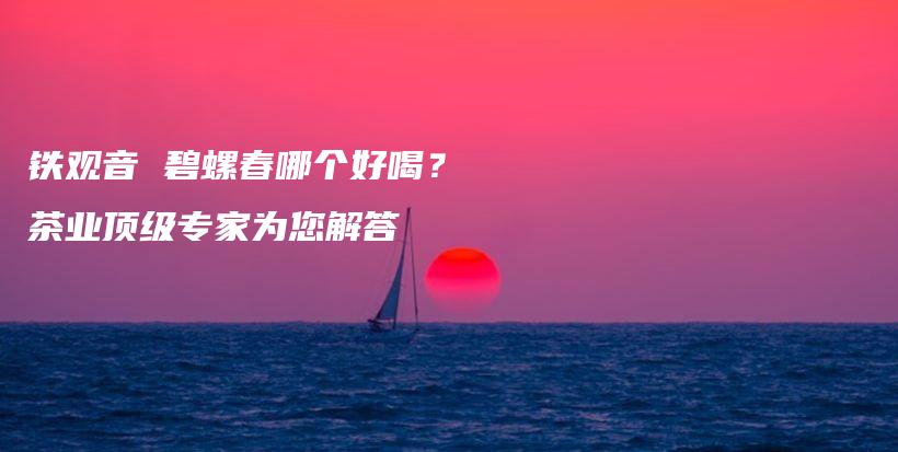 铁观音 碧螺春哪个好喝？茶业顶级专家为您解答插图