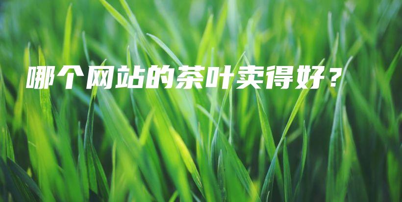哪个网站的茶叶卖得好？插图