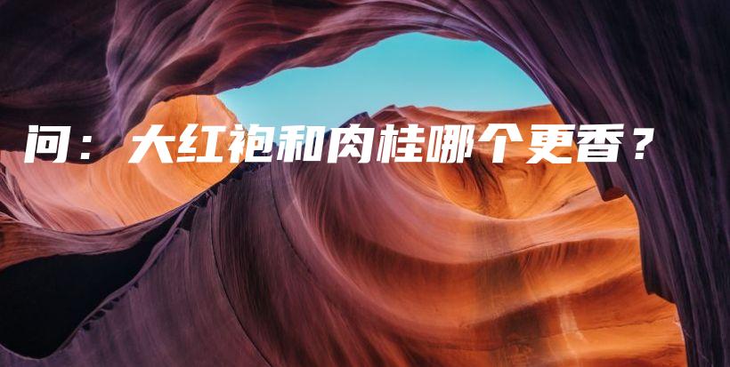 问：大红袍和肉桂哪个更香？插图