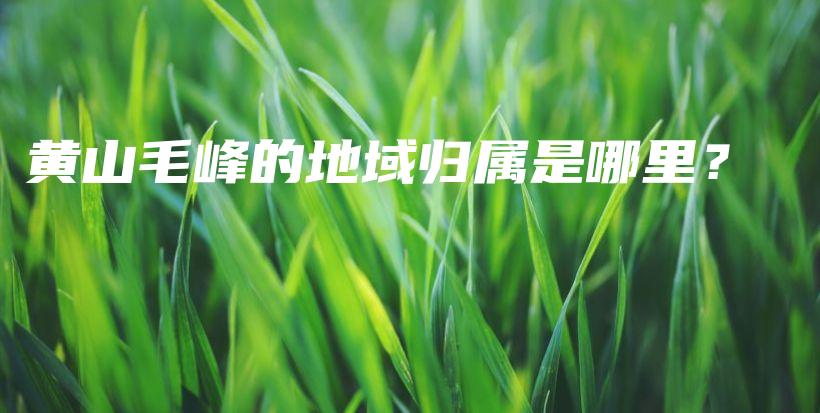 黄山毛峰的地域归属是哪里？插图