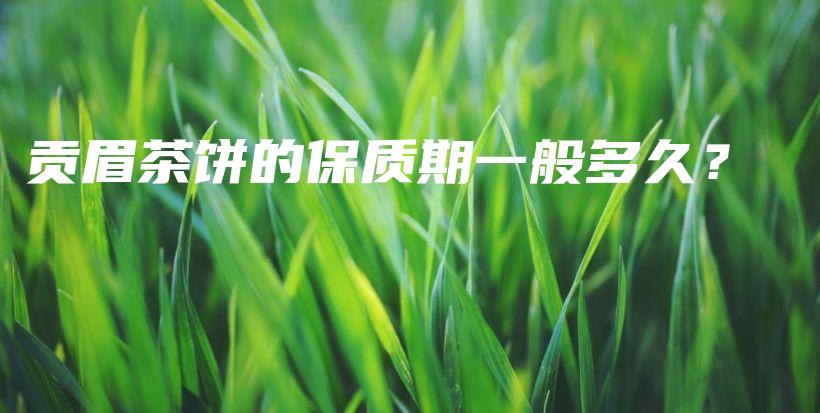 贡眉茶饼的保质期一般多久？插图