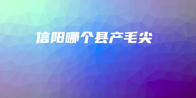 信阳哪个县产毛尖插图