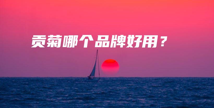 贡菊哪个品牌好用？插图