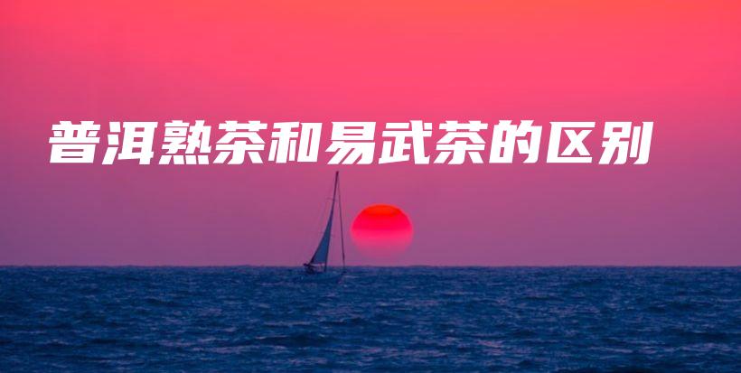 普洱熟茶和易武茶的区别插图 普洱熟茶和易武茶的区别插图