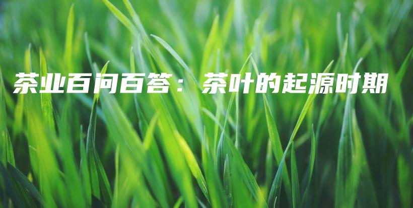 茶业百问百答:茶叶的起源时期插图 茶业百问百答:茶叶的起源时期插图