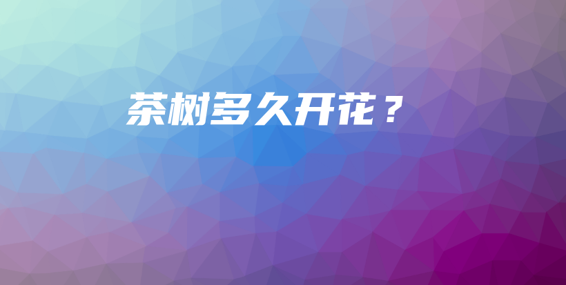茶树多久开花？插图