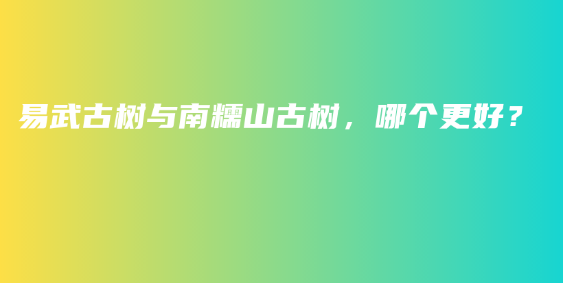 易武古树与南糯山古树，哪个更好？插图