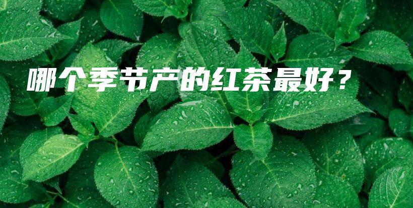 哪个季节产的红茶最好?插图 哪个季节产的红茶最好?插图