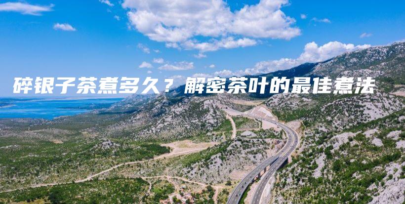 碎银子茶煮多久?解密茶叶的最佳煮法插图 碎银子茶煮多久?解密茶叶的最佳煮法插图