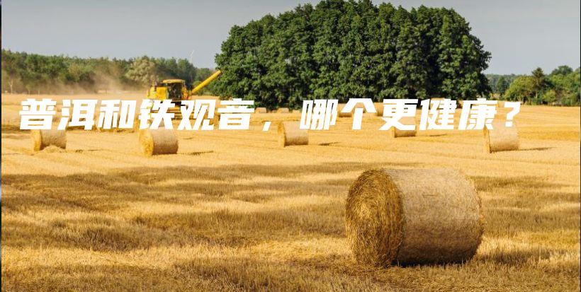 普洱和铁观音，哪个更健康？插图