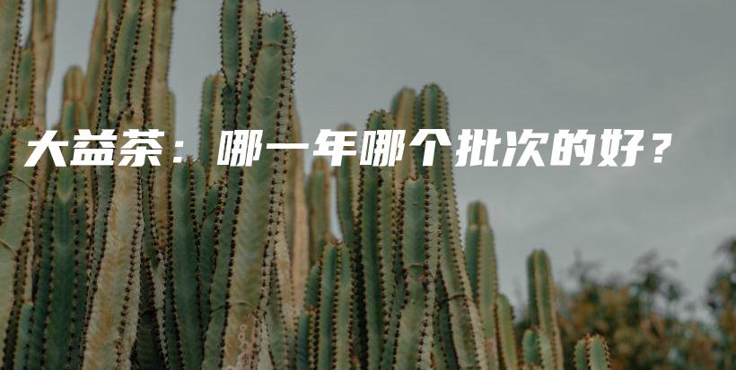 大益茶：哪一年哪个批次的好？插图