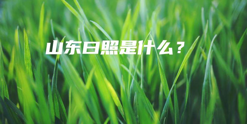 山东曰照是什么？插图