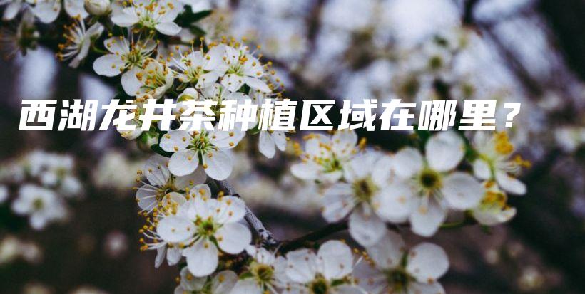 西湖龙井茶种植区域在哪里？插图