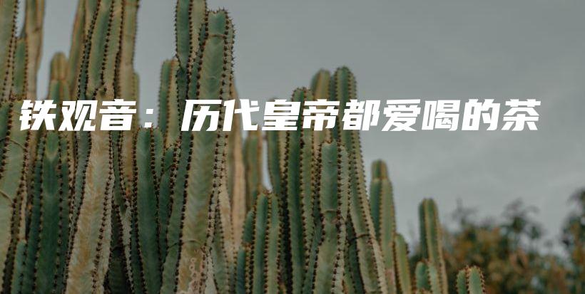 铁观音：历代皇帝都爱喝的茶插图