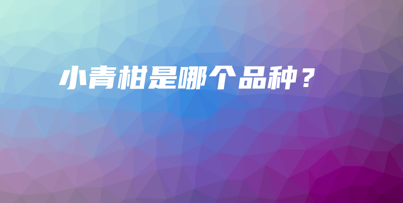 小青柑是哪个品种？插图