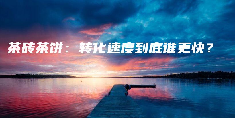 茶砖茶饼：转化速度到底谁更快？插图
