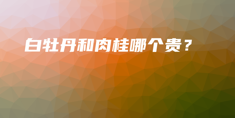 白牡丹和肉桂哪个贵？插图