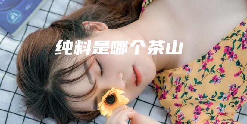 纯料是哪个茶山插图