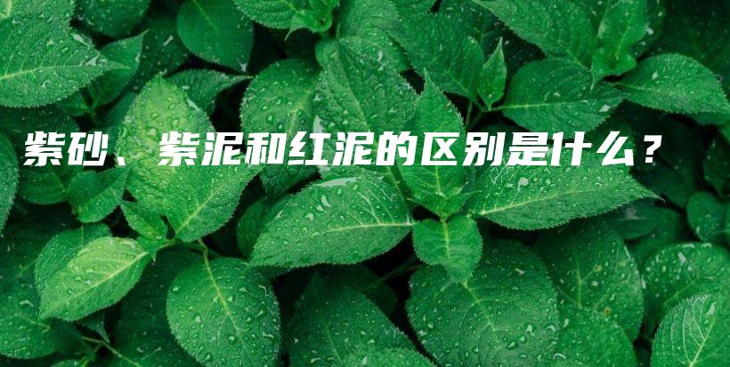 紫砂、紫泥和红泥的区别是什么？插图