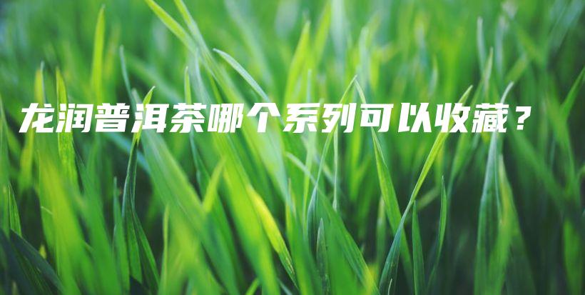 龙润普洱茶哪个系列可以收藏？插图