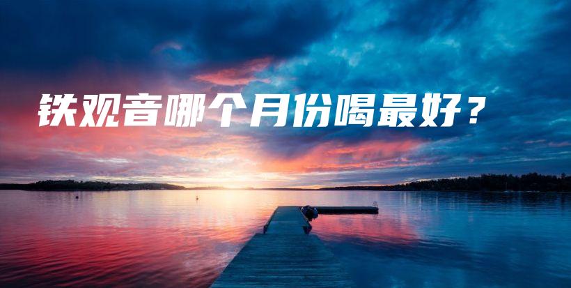 铁观音哪个月份喝最好？插图