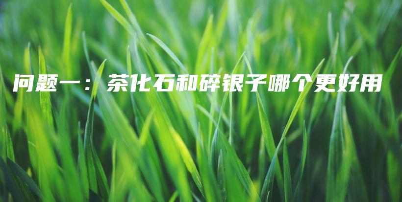 问题一：茶化石和碎银子哪个更好用插图