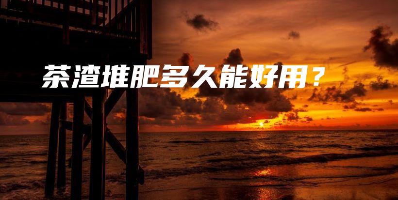 茶渣堆肥多久能好用？插图