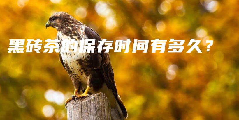 黑砖茶的保存时间有多久？插图